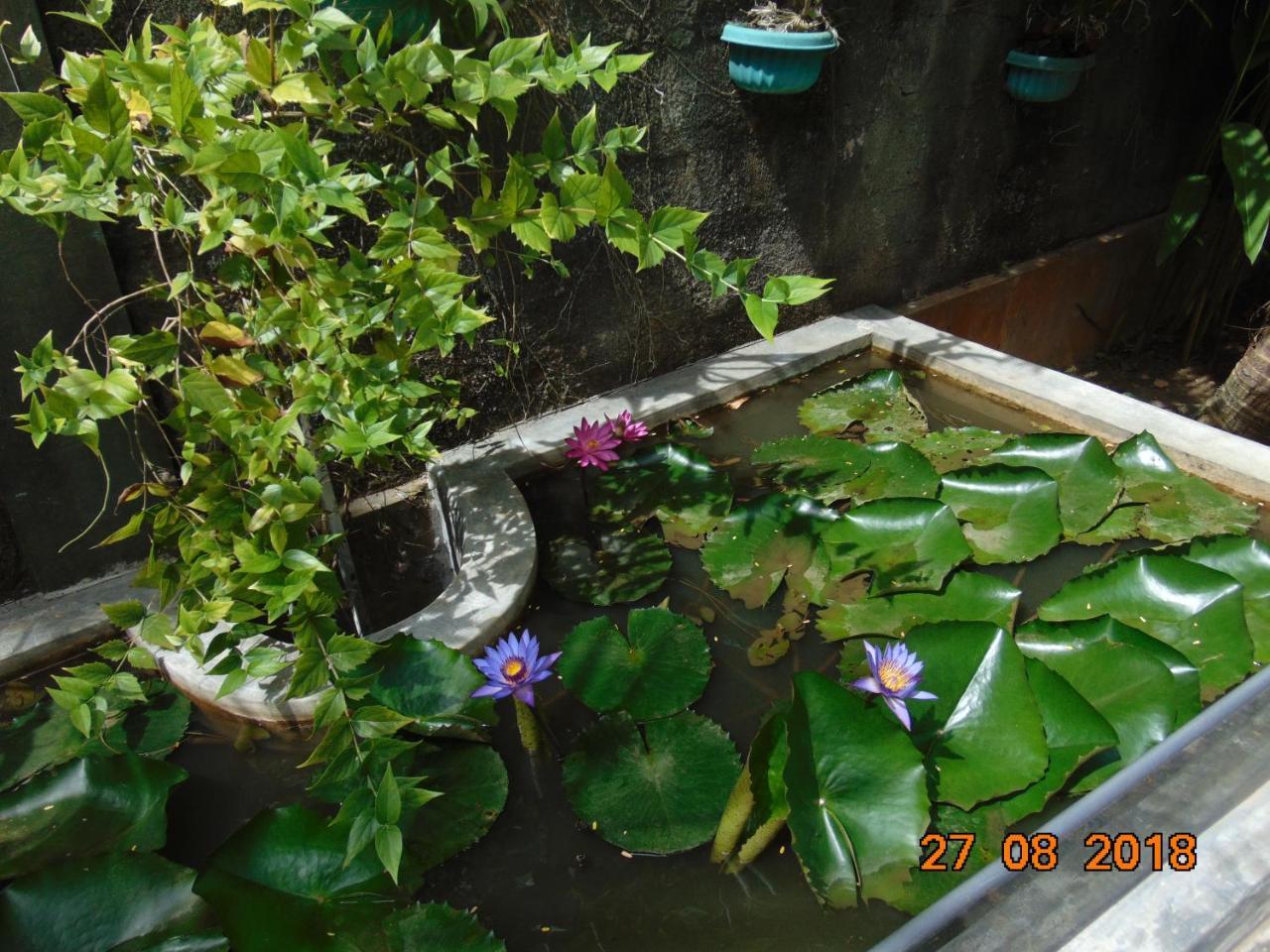 Sri Lankan Villa Elagawagoda Kültér fotó