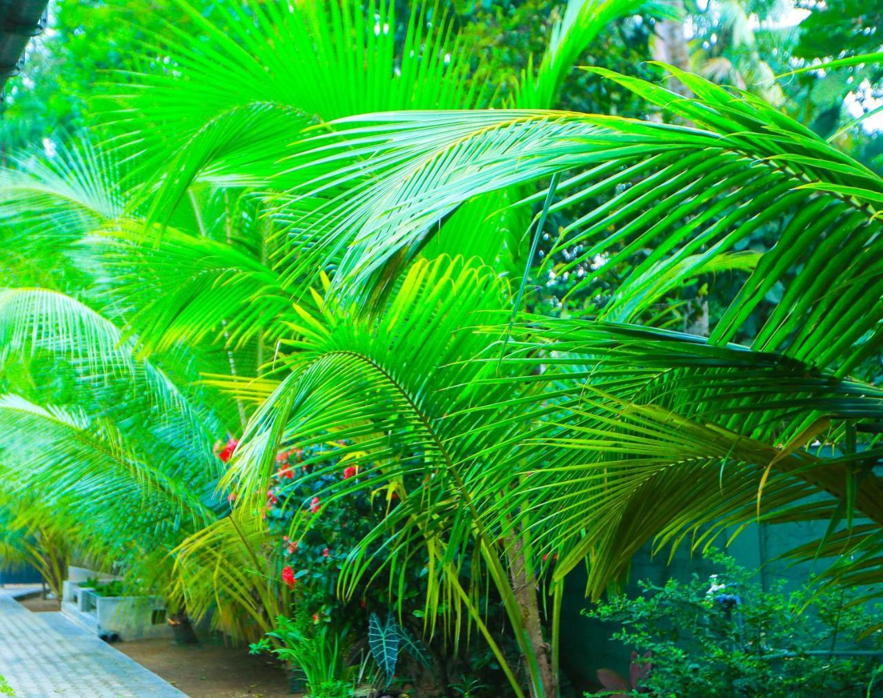 Sri Lankan Villa Elagawagoda Kültér fotó